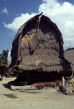 Sage, Lombok, Indinesia, Jacek Piwowarczyk, 2001