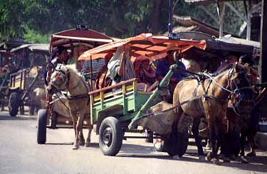 Sumbawa, Indonesia, Jacek Piwowarczyk, 1993