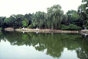 Ch'anggyonggung Palace, Seoul, South Korea, 1999