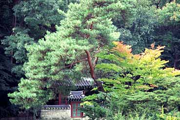 Ch'angdokkung Palace, Seoul, South Korea, 1999