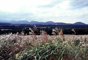 San'gumburi Crater, Cheju Island, South Korea, 1999