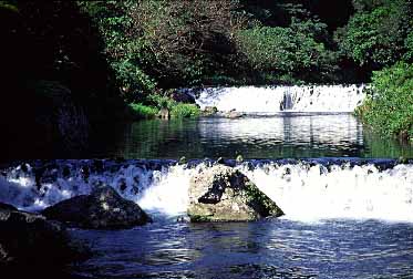 Chonjiyon Waterfall, Sogwip'o, Cheju Island, South Korea, 1999