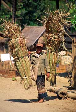Kuang Si Village, Laos, Jacek Piwowarczyk, 2000