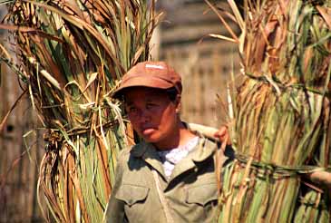 Kuang Si Village, Laos, Jacek Piwowarczyk, 2000