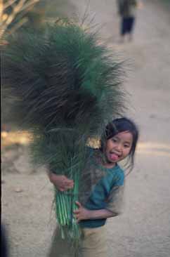 Laos, Jacek Piwowarczyk, 2000