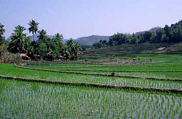 Laos, Jacek Piwowarczyk, 2000