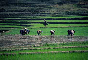 Laos, Jacek Piwowarczyk, 2000