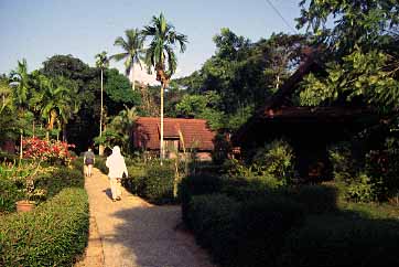 Taman Negara National Park, Malaysia, Jacek Piwowarczyk, 1997 