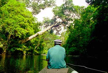 Taman Negara National Park, Malaysia, Jacek Piwowarczyk, 1997 