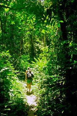 Taman Negara National Park, Malaysia, Jacek Piwowarczyk, 1997 