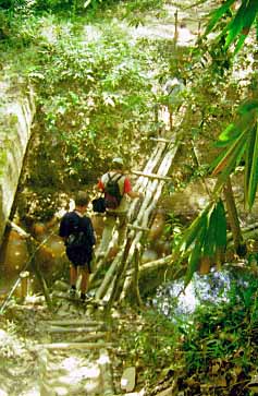 Taman Negara National Park, Malaysia, Jacek Piwowarczyk, 1997 