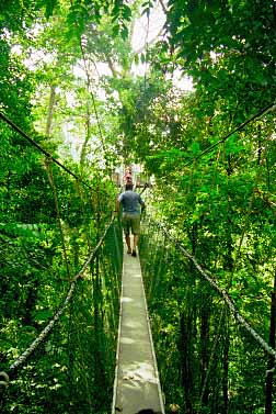 Taman Negara National Park, Malaysia, Jacek Piwowarczyk, 1997 