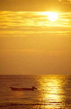 Tioman Island, Malaysia, Jacek Piwowarczyk, 1993