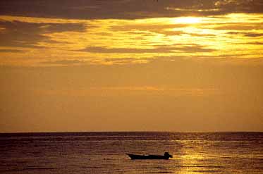 Tioman Island, Malaysia, Jacek Piwowarczyk, 1993