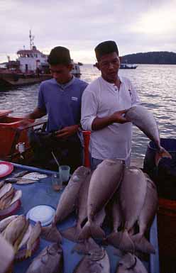 Kota Kinabalu, Sabah, Malaysia, Jacek Piwowarczyk 2003