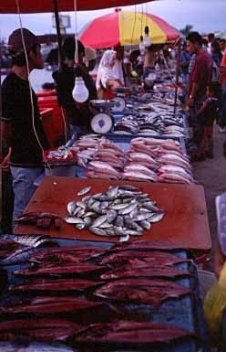 Kota Kinabalu, Sabah, Malaysia, Jacek Piwowarczyk 2003