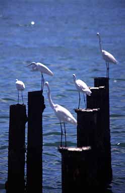 Kota Kinabalu, Sabah, Malaysia, Jacek Piwowarczyk 2003