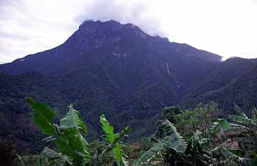 Mt. Kinabalu, Sabah, Malaysia, Jacek Piwowarczyk 2003