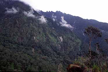 Mt. Kinabalu, Sabah, Malaysia, Jacek Piwowarczyk 2003