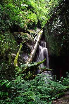 Mt. Kinabalu, Sabah, Malaysia, Jacek Piwowarczyk 2003