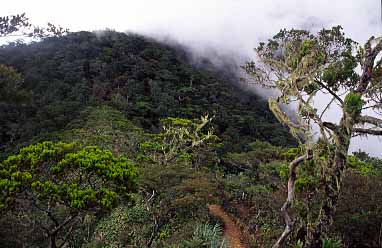 Mt. Kinabalu, Sabah, Malaysia, Jacek Piwowarczyk 2003