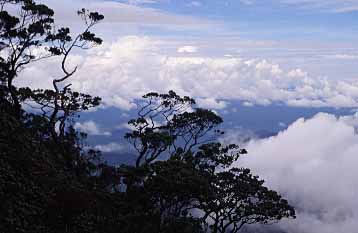 Mt. Kinabalu, Sabah, Malaysia, Jacek Piwowarczyk 2003