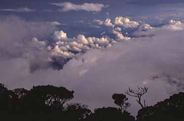 Mt. Kinabalu, Sabah, Malaysia, Jacek Piwowarczyk 2003