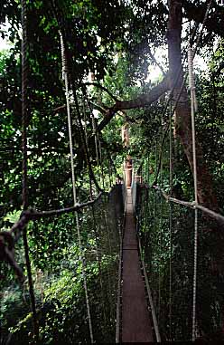 Poring Hot Springs, Sabah, Malaysia, Jacek Piwowarczyk 2003