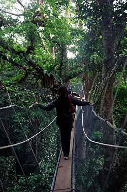 Poring Hot Springs, Sabah, Malaysia, Jacek Piwowarczyk 2003