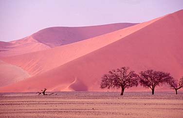 Soussvlei, Namibia, Jacek Piwowarczyk, 1994