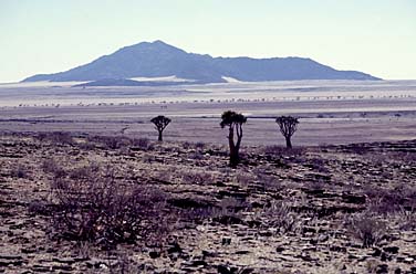 Namib Desert, Namibia, Jacek Piwowarczyk, 1994