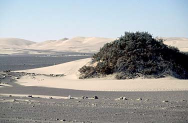 Skeleton Coast, Namibia, Jacek Piwowarczyk, 1994