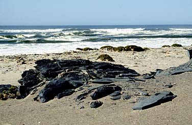 Skeleton Coast, Namibia, Jacek Piwowarczyk, 1994