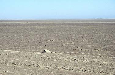 Skeleton Coast, Namibia, Jacek Piwowarczyk, 1994