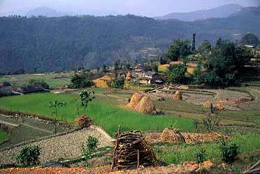 Barne, Nepal. Jacek Piwowarczyk, 2002