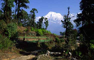 Bhichok Dheurali, Nepal, Jacek Piwowarczyk, 2002