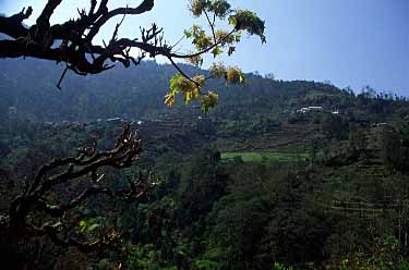 Tolka, Nepal, Jacek Piwowarczyk, 2002