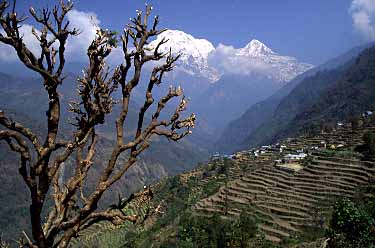 Langrung, Nepal, Jacek Piwowarczyk, 2002