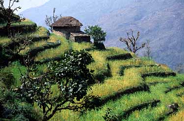 Langrung, Nepal, Jacek Piwowarczyk, 2002