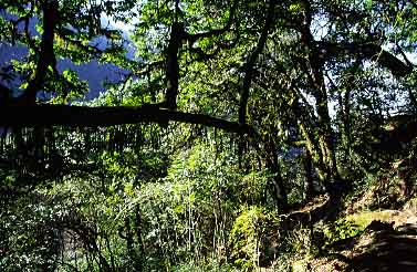 Modi Khola, Nepal, jacek Piwowarczyk, 2002