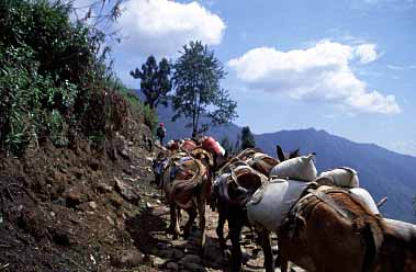 Kimrong Khola, Nepal, Jacek Piwowarczyk, 2002