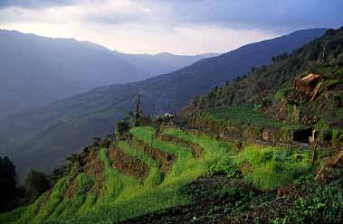 Kimrong Khola, Nepal, Jacek Piwowarczyk, 2002