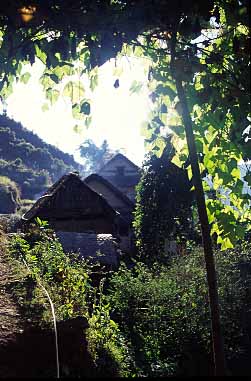 Simbu, Nepal, Jacek Piwowarczyk, 2000