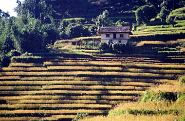 Simbu, Nepal, Jacek Piwowarczyk, 2000