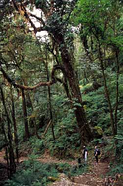 Imje Khola Valley, Nepal, Jacek Piwowarczyk, 2000