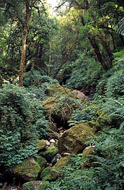 Imje Khola Valley, Nepal, Jacek Piwowarczyk, 2000