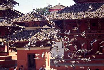 Kathmandu, Nepal, Jacek Piwowarczyk, 1996