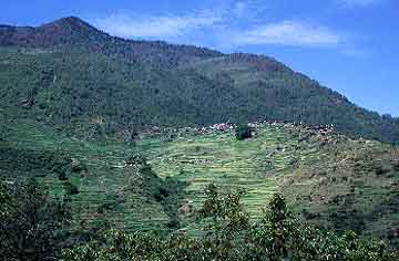 Tholo Syabru, Nepal, Jacek Piwowarczyk, 2001