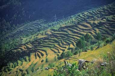 Bharkhu, Nepal, Jacek Piwowarczyk,  2001