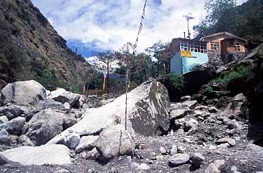 Bamboo, Langtang Valley, Nepal, Jacek Piwowarczyk, 2001